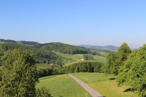 a road in the middle of a green field at Obermerkenbergerhof in Hofstetten