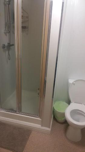 a bathroom with a toilet and a glass shower at Lower Cathedral Road Apartment in Cardiff