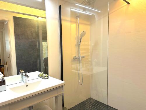 a bathroom with a shower and a sink at Clos de Fougères - Cocon in Montoillot