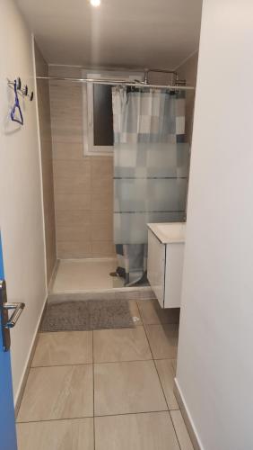 a small bathroom with a shower and a sink at 1 chambre meublé avec cuisine privé métro 7 la Courneuve in La Courneuve