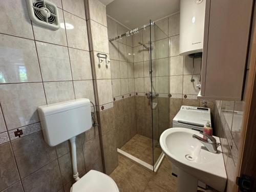 une salle de bain avec une douche, des toilettes et un lavabo dans l'établissement Apartments Suzana, à Herceg-Novi