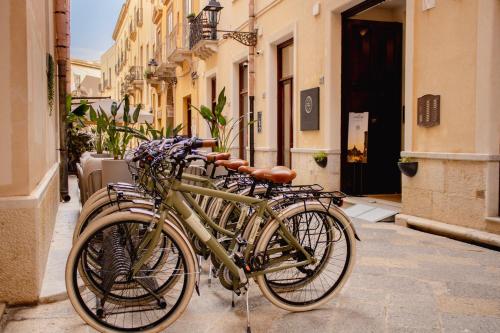 Jízda na kole v ubytování BADIA NUOVA Apart Hotel nebo okolí