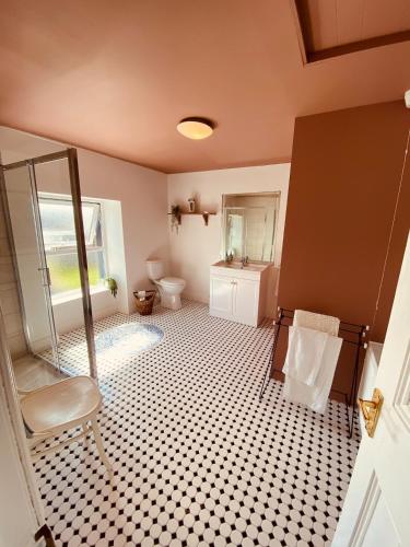 a bathroom with a shower and a toilet at Cashel town house 4 bed in Cashel