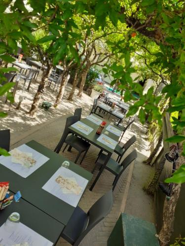 una mesa verde y sillas sentadas bajo algunos árboles en My Home Hotel, en Bellaria-Igea Marina