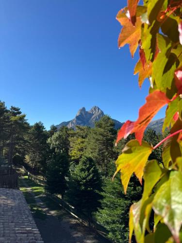 a road with a mountain in the background at Cal Roig - Pedraforca in Saldés