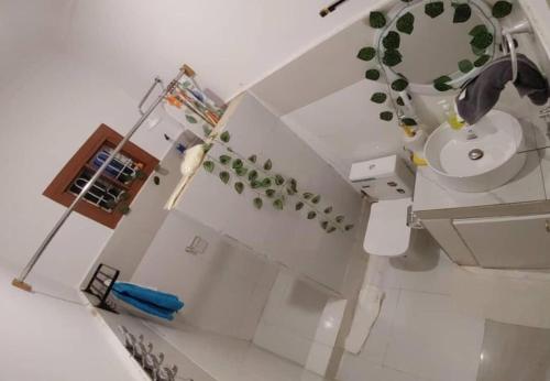a bathroom with a toilet and a sink with plants at Malaika White House Apartment & Spa in Kiwengwa