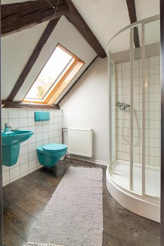 a bathroom with a shower and a sink and a toilet at Ekoturystyka Nowina in Nowina