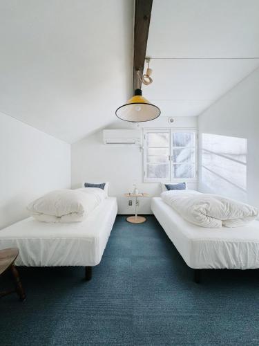 two beds in a room with white walls and blue carpet at Sugi Lodge in Hakuba