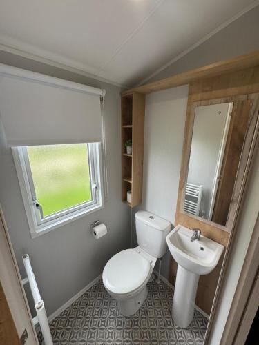 a small bathroom with a toilet and a sink at Fantasy Island - Eastgate E6 - The Sierra with Hot Tub - Coastal Caravan Breaks in Ingoldmells