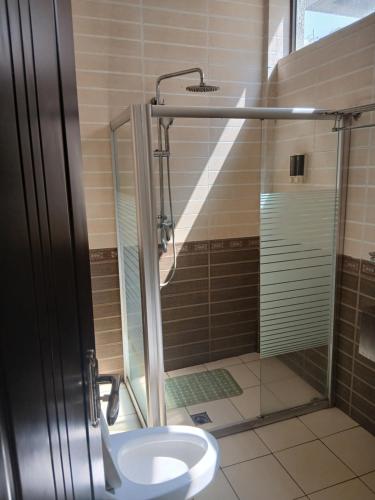 Un baño con ducha, inodoro y lavabo. en Kitsel Hotel, en Bahir Dar