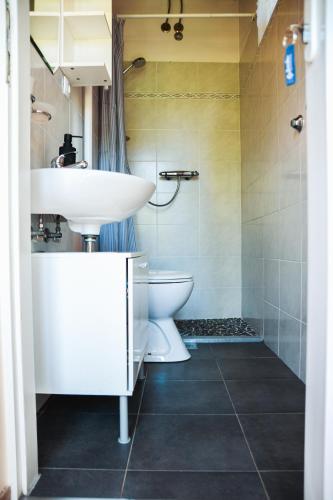 a bathroom with a sink and a toilet at Sablic Apartment - Opatija-Ika, in middle of olive garden with a beautiful pool in Ika