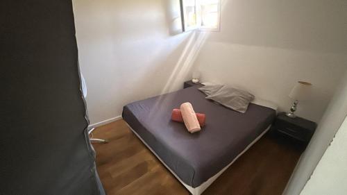Appartement T2 coconing, WIFI, INTERNET, CLIM, 300m plage
