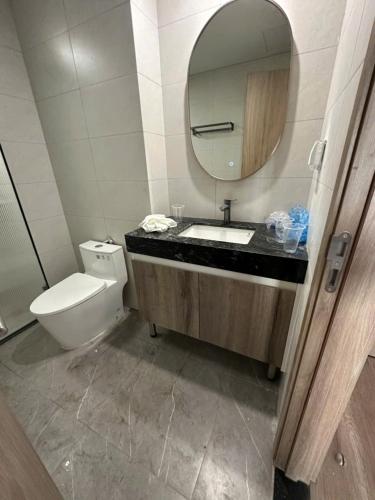a bathroom with a sink and a toilet and a mirror at H-Vista Suites - The Wisteria 