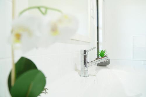un lavabo de salle de bain avec un robinet et un miroir dans l'établissement Agape Grove Digital Detox Farm, 