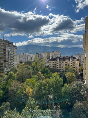 Rose apt South Park - Free Public Parking, Mountain View, self check-in, near metro, stores, family-friendly