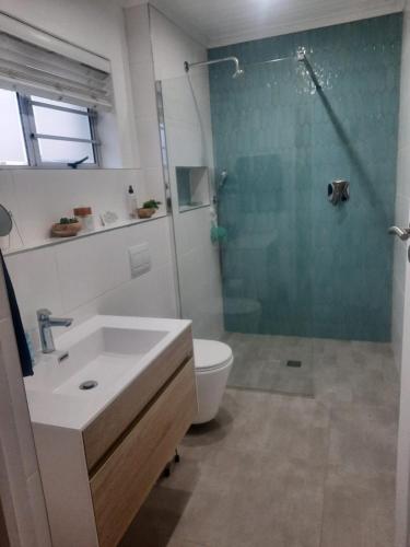 a bathroom with a shower and a sink and a toilet at StruisPlace in Struisbaai