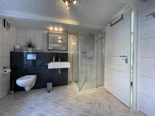 Un baño con ducha, inodoro y lavabo. en Fischerkate in Massholm, en Maasholm