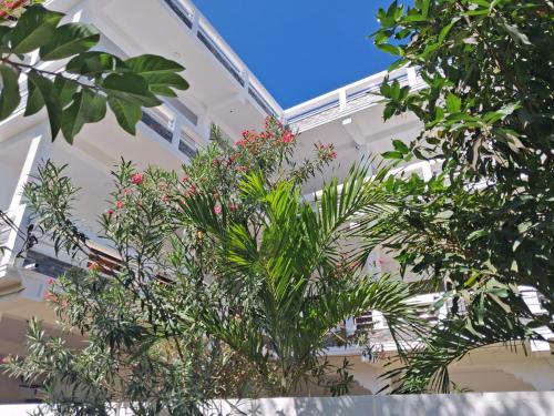 a group of plants in front of a building at Beach life long beach resort in Trincomalee