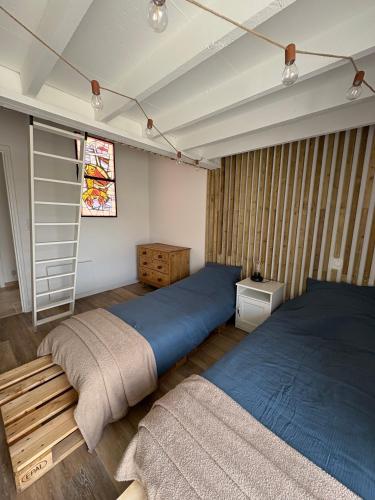 a bedroom with two beds and a book shelf at Le Chai des Poilanes in Liré