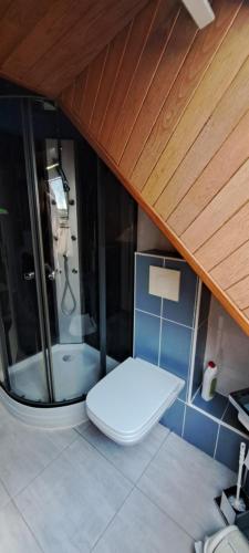 a bathroom with a toilet and a glass shower at Canterane, un coin de paradis à la campagne in Salignac Eyvigues