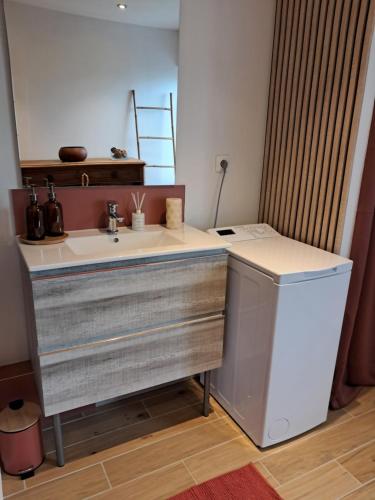 a bathroom with a sink and a washing machine at Cottage normand, gîte à la campagne, au calme in Selles