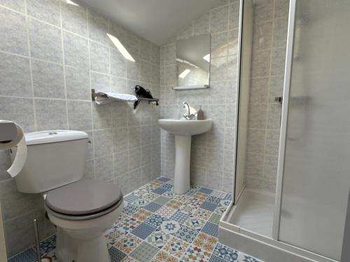 a bathroom with a toilet and a sink and a shower at Gite du milieu - 8 personnes en pleine campagne et rivière By Primo in La Forêt-sur-Sèvre