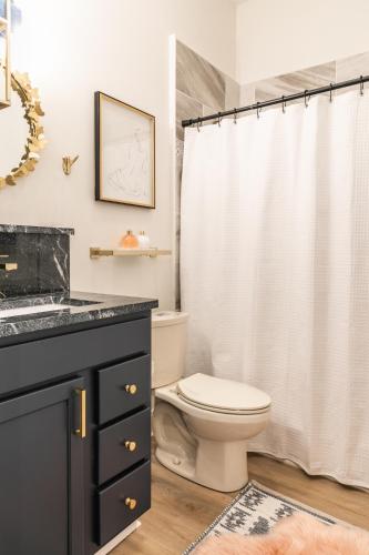 a bathroom with a toilet and a shower curtain at The Chattanooga Crossroads Condo in Chattanooga