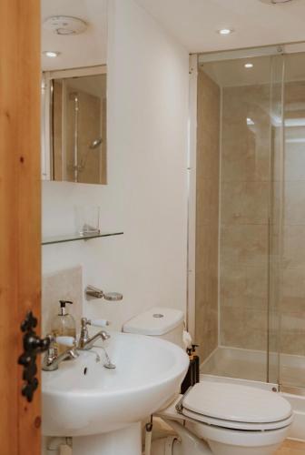 a bathroom with a toilet and a sink and a shower at Stable lodge with Cosy Log Fire & Optional Hot tub in Horspath