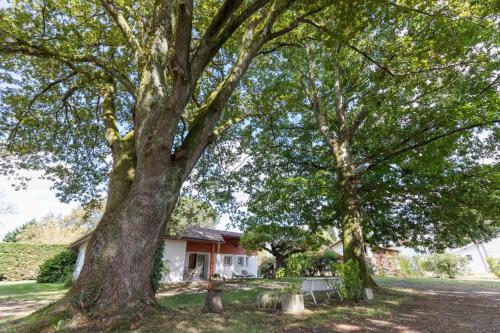 Gallery image of L'atelier in Taller