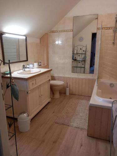 a bathroom with a sink and a toilet and a mirror at Le prieuré in Raslay