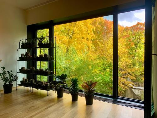 a room with a large window with potted plants at ArtFlora KV Premium in Karlovy Vary