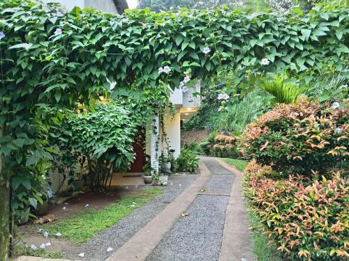a garden with a walkway through a hedge with flowers at Old Bridge Riverside Hotel in Kitulgala
