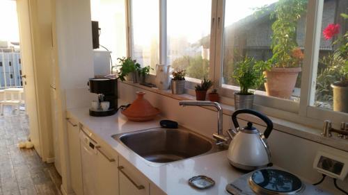een keuken met een wastafel en een raam met potplanten bij Tel Aviv Roof Apartment in Tel Aviv