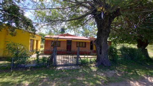 Una casa amarilla con un árbol delante. en La casa de David, en Deán Funes