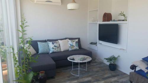 ein Wohnzimmer mit einem Sofa und einem TV in der Unterkunft Tel Aviv Roof Apartment in Tel Aviv