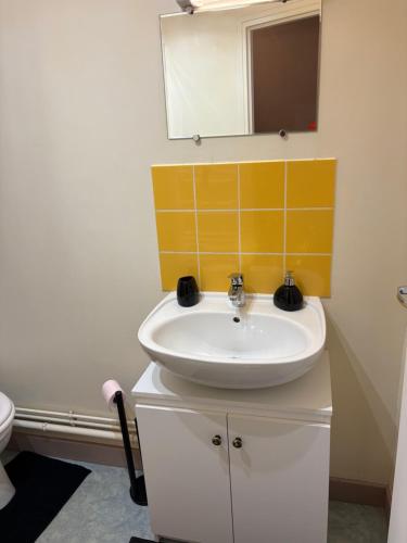 a bathroom with a sink and a mirror at Appartement centre ville in Langres