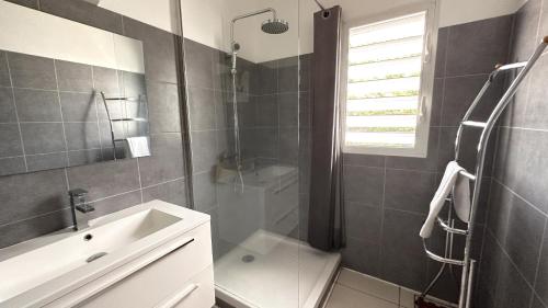 Quartiers Anse à lʼÂneにあるLAKAYOU, 4 pers, piscine privee, plageのシャワー、トイレ、洗面台を備えたバスルーム