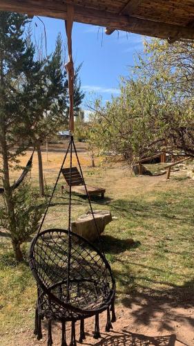 En have udenfor Cabañas bola 8