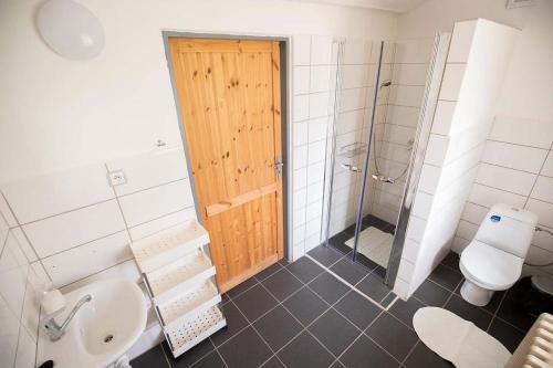 a bathroom with a sink and a toilet and a shower at Chalupa u Hejsků in Jilem