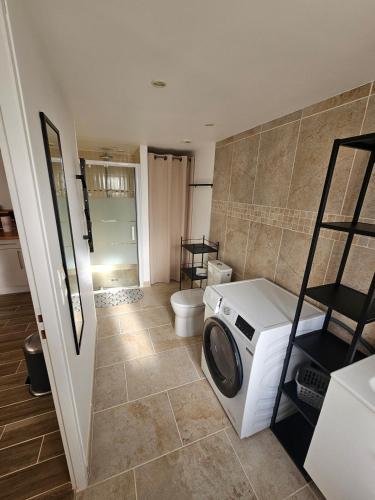 un bagno con lavatrice e WC di La P'tite Maison a Saint-Julien-sur-Cher