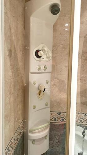 a shower in a bathroom with a toilet in a room at Mirador del Duero in Zamora