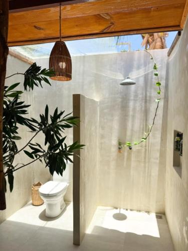 a bathroom with a toilet and a plant at Pousada La vida boutique in Icaraí