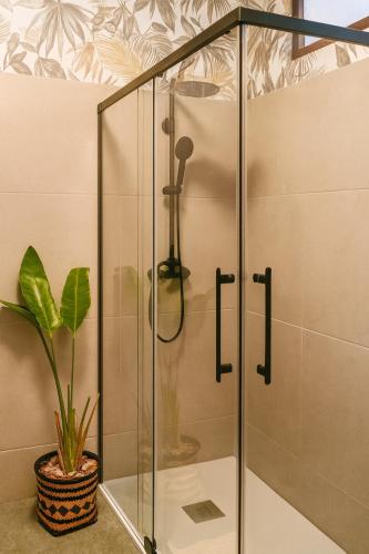 a shower with a glass door next to a plant at Vintage 2-Bed Apt with Music Room in Fundão