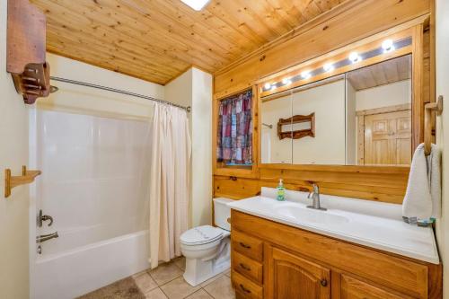 a bathroom with a sink and a toilet and a shower at Among the Laurels- Private Hot Tub and Fire Pit in Fleetwood
