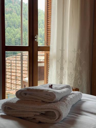 a bed with towels sitting on it in front of a window at Forrest Guesthouse in Polídhroson