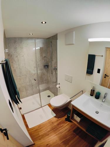 a bathroom with a shower and a toilet and a sink at Chasa Salnuun Ferienwohnungen in Samnaun