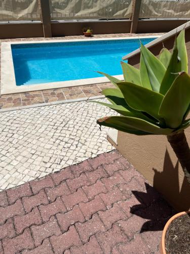 Holiday Villa with Private Pool - Villa Farol
