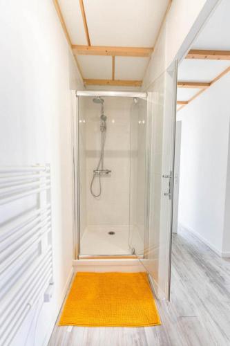 a shower stall in a room with a yellow rug at Le gite du buis in Montamisé
