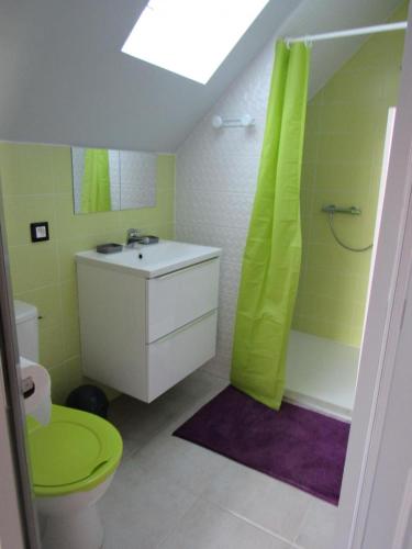 a bathroom with a toilet and a sink and a shower at Le gîte de la butte in Champagné-Saint-Hilaire