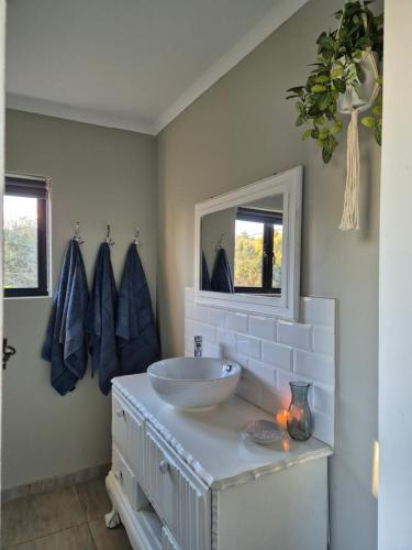 ein Badezimmer mit einem weißen Waschbecken und einem Spiegel in der Unterkunft Courtleigh Cottage in Hilton